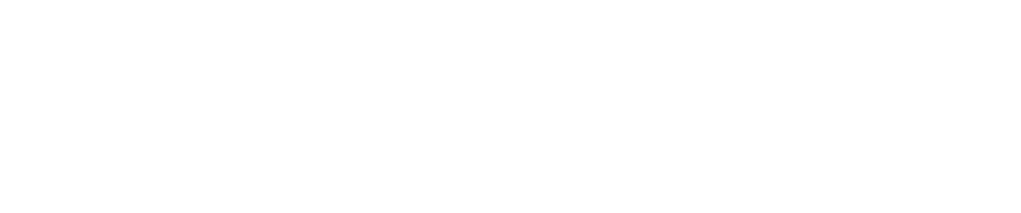 logo Brand Perspective